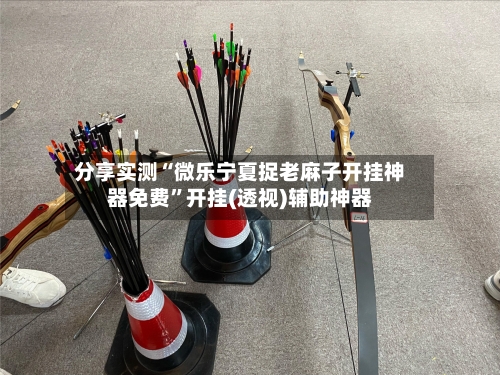 分享实测“微乐宁夏捉老麻子开挂神器免费”开挂(透视)辅助神器-第2张图片