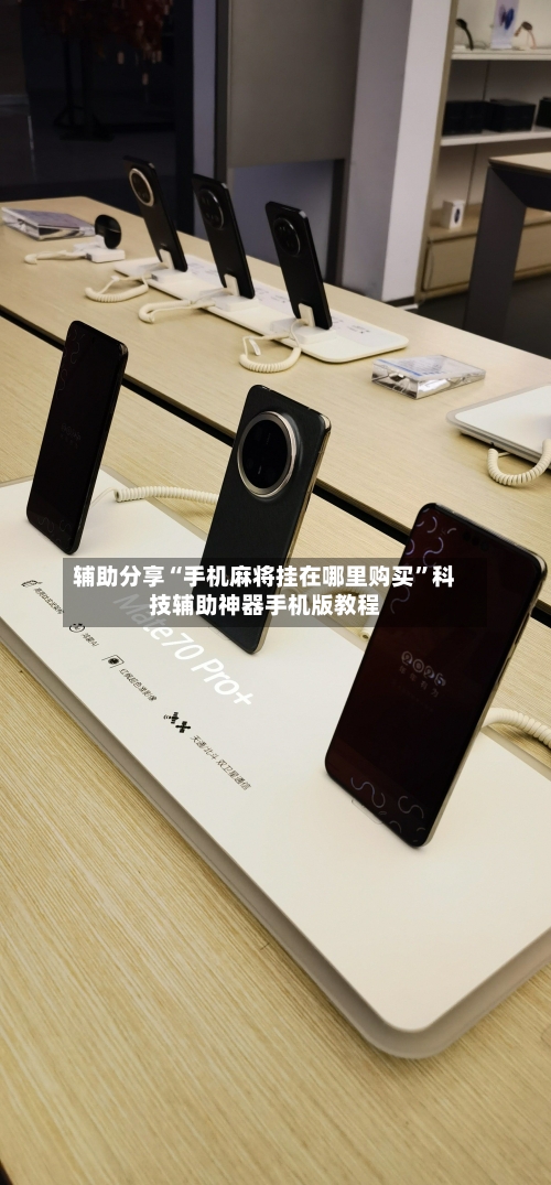 辅助分享“手机麻将挂在哪里购买	”科技辅助神器手机版教程-第2张图片