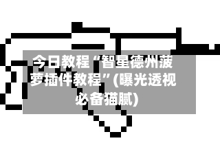 今日教程“智星德州菠萝插件教程”(曝光透视必备猫腻)-第2张图片