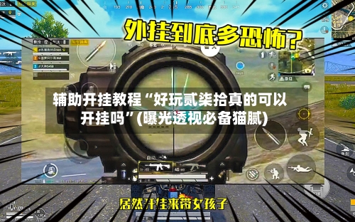 辅助开挂教程“好玩贰柒拾真的可以开挂吗	”(曝光透视必备猫腻)-第3张图片