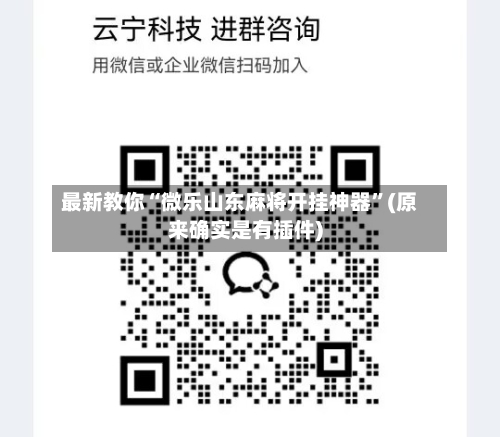 最新教你“微乐山东麻将开挂神器”(原来确实是有插件)-第3张图片