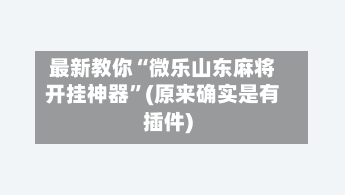 最新教你“微乐山东麻将开挂神器”(原来确实是有插件)-第2张图片