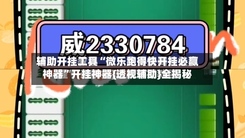 辅助开挂工具“微乐跑得快开挂必赢神器”开挂神器{透视辅助}全揭秘-第2张图片