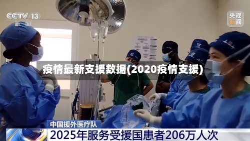 疫情最新支援数据(2020疫情支援)-第2张图片