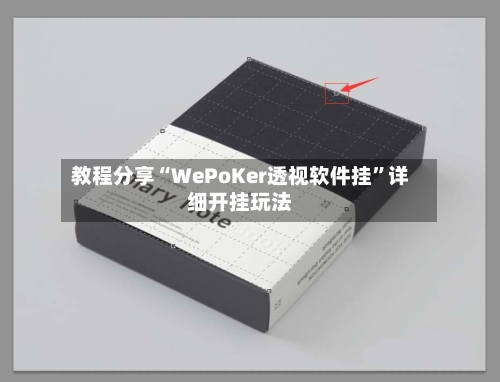 教程分享“WePoKer透视软件挂”详细开挂玩法-第3张图片