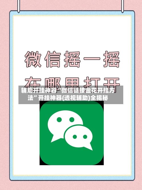 辅助开挂神器“微信链接金花开挂方法”开挂神器{透视辅助}全揭秘-第3张图片