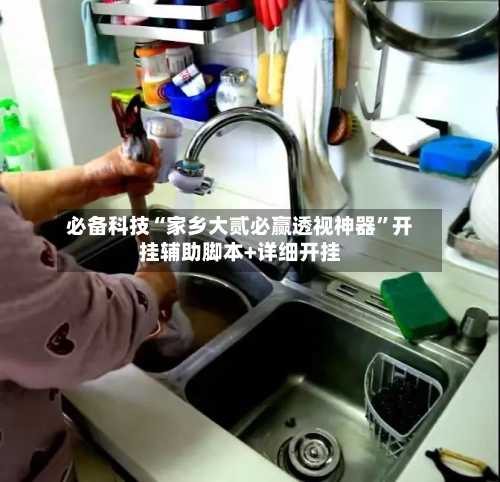 必备科技“家乡大贰必赢透视神器”开挂辅助脚本+详细开挂-第3张图片