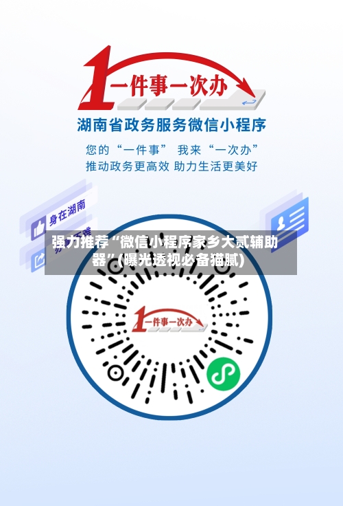 强力推荐“微信小程序家乡大贰辅助器	”(曝光透视必备猫腻)-第2张图片