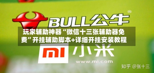 玩家辅助神器“微信十三张辅助器免费”开挂辅助脚本+详细开挂安装教程-第3张图片