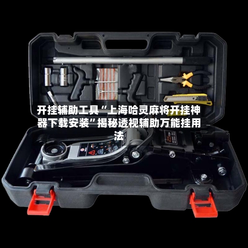 开挂辅助工具“上海哈灵麻将开挂神器下载安装”揭秘透视辅助万能挂用法-第3张图片