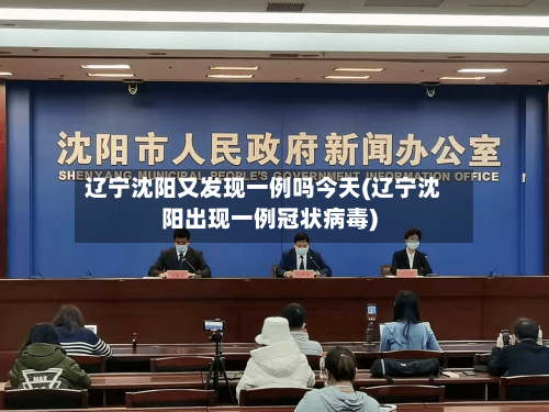 辽宁沈阳又发现一例吗今天(辽宁沈阳出现一例冠状病毒)-第2张图片