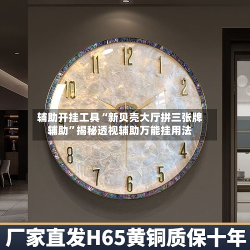 辅助开挂工具“新贝壳大厅拼三张牌辅助”揭秘透视辅助万能挂用法-第3张图片