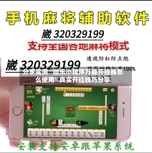 分享实测“微乐小程序万能开挂器怎么使用”真实开挂技巧分享-第2张图片