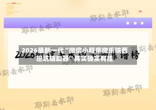 2026最新一代“微信小程序微乐陕西挖坑辅助器”其实确实有挂-第2张图片