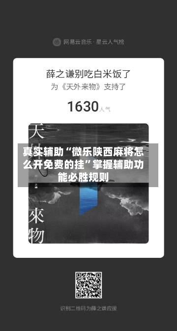真实辅助“微乐陕西麻将怎么开免费的挂”掌握辅助功能必胜规则-第3张图片
