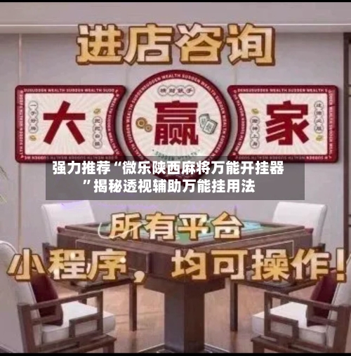 强力推荐“微乐陕西麻将万能开挂器”揭秘透视辅助万能挂用法-第2张图片