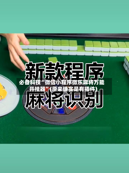 必备科技“微信小程序微乐麻将万能开挂器”(原来确实是有插件)-第3张图片