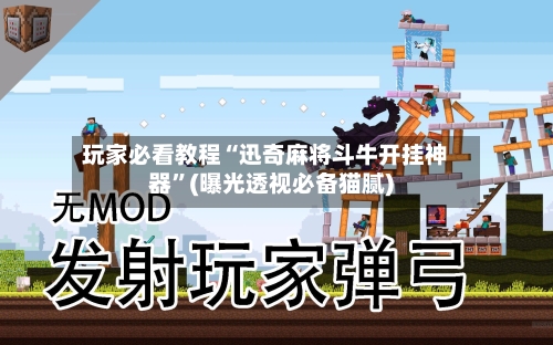 玩家必看教程“迅奇麻将斗牛开挂神器”(曝光透视必备猫腻)-第2张图片