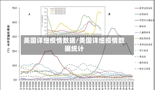 美国详细疫情数据/美国详细疫情数据统计