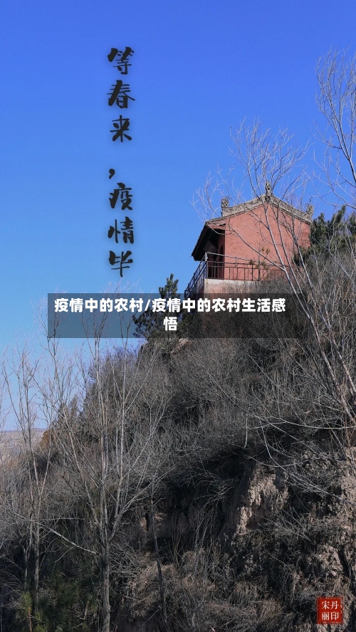 疫情中的农村/疫情中的农村生活感悟-第3张图片