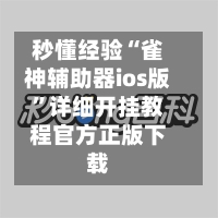 秒懂经验“雀神辅助器ios版”详细开挂教程官方正版下载-第3张图片