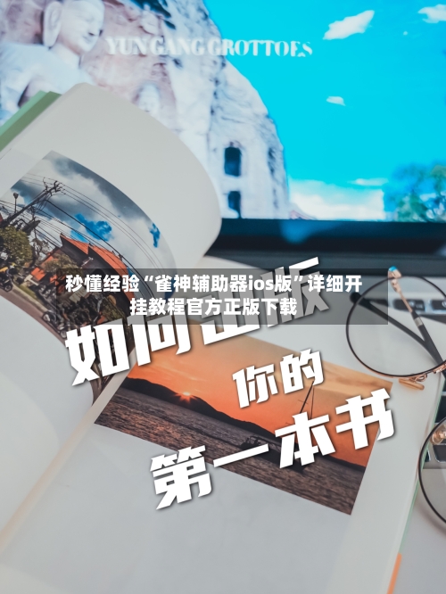 秒懂经验“雀神辅助器ios版	”详细开挂教程官方正版下载-第2张图片