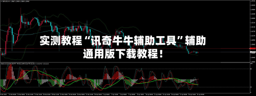 实测教程“讯奇牛牛辅助工具”辅助通用版下载教程！-第3张图片
