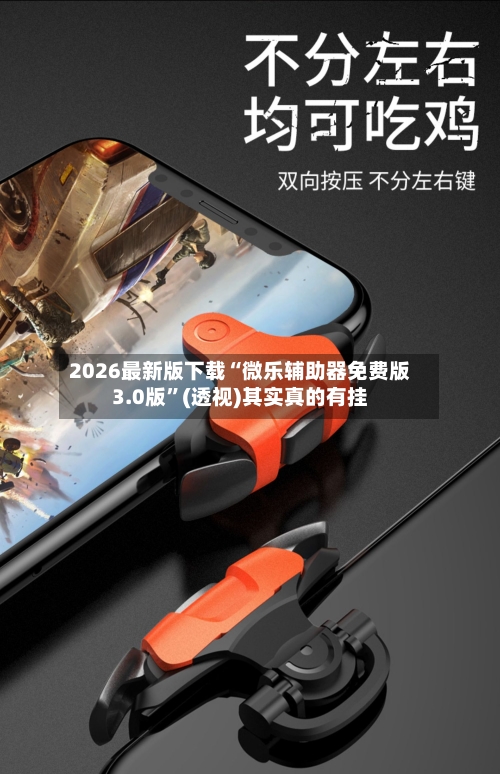 2026最新版下载“微乐辅助器免费版3.0版	”(透视)其实真的有挂-第2张图片