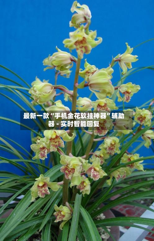 最新一款“手机金花软挂神器”辅助器 - 实时智能回复-第2张图片