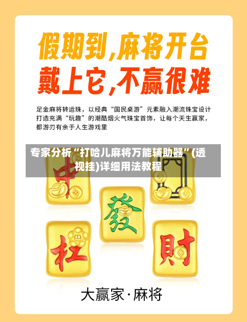 专家分析“打哈儿麻将万能辅助器”(透视挂)详细用法教程-第2张图片