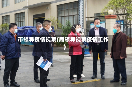市领导疫情视察(局领导视察疫情工作)