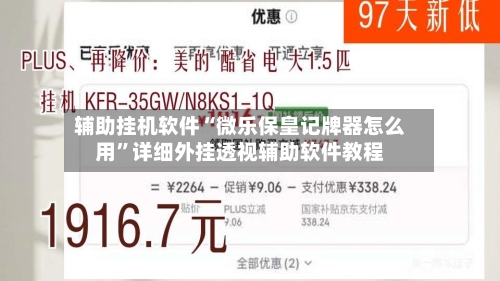 辅助挂机软件“微乐保皇记牌器怎么用”详细外挂透视辅助软件教程-第3张图片