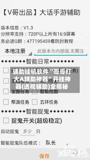 辅助挂机软件“哥哥打大A辅助神器	”开挂神器{透视辅助}全揭秘-第2张图片