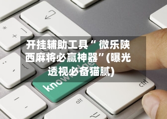 开挂辅助工具“ 微乐陕西麻将必赢神器	”(曝光透视必备猫腻)-第3张图片