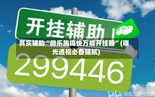 真实辅助“微乐跑得快万能开挂器”(曝光透视必备猫腻)-第3张图片