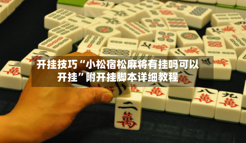 开挂技巧“小松宿松麻将有挂吗可以开挂”附开挂脚本详细教程-第2张图片