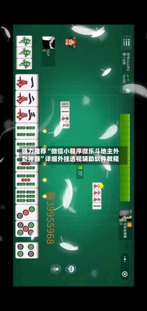 强力推荐“微信小程序微乐斗地主外卦神器”详细外挂透视辅助软件教程-第2张图片