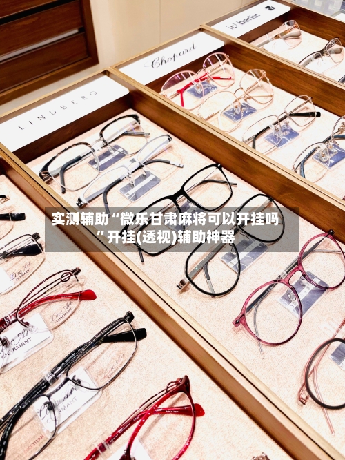 实测辅助“微乐甘肃麻将可以开挂吗”开挂(透视)辅助神器-第2张图片