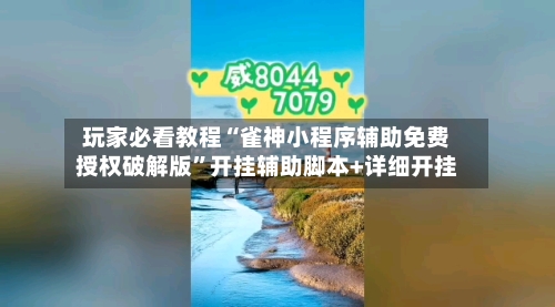 玩家必看教程“雀神小程序辅助免费授权破解版”开挂辅助脚本+详细开挂-第2张图片