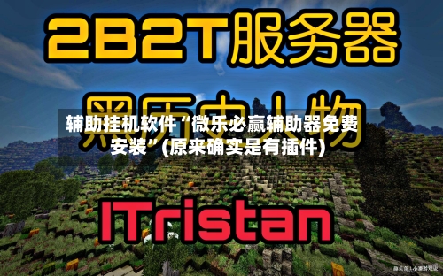 辅助挂机软件“微乐必赢辅助器免费安装	”(原来确实是有插件)-第2张图片