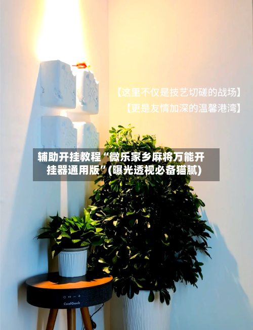 辅助开挂教程“微乐家乡麻将万能开挂器通用版	”(曝光透视必备猫腻)-第2张图片