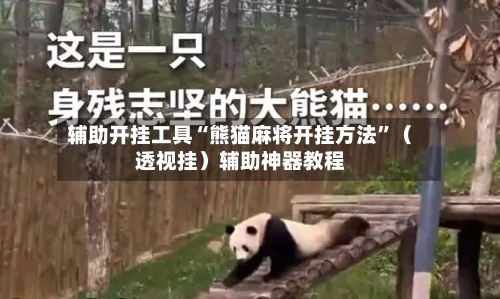 辅助开挂工具“熊猫麻将开挂方法”（透视挂）辅助神器教程-第2张图片