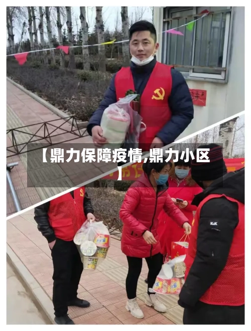 【鼎力保障疫情,鼎力小区】-第3张图片