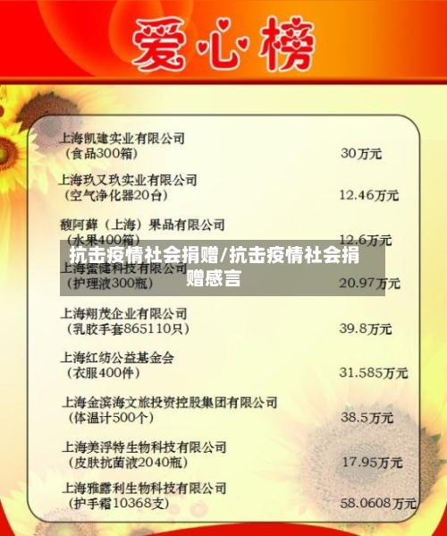 抗击疫情社会捐赠/抗击疫情社会捐赠感言