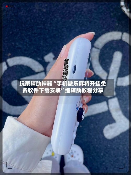 玩家辅助神器“手机微乐麻将开挂免费软件下载安装”细辅助教程分享-第2张图片