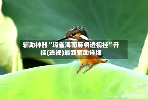 辅助神器“琼雀海南麻将透视挂”开挂(透视)最新辅助详细-第3张图片