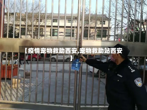 【疫情宠物救助西安,宠物救助站西安】