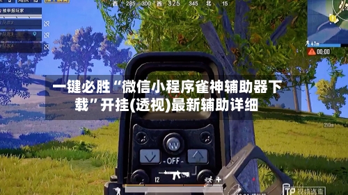 一键必胜“微信小程序雀神辅助器下载”开挂(透视)最新辅助详细-第2张图片