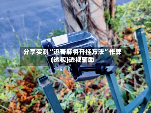 分享实测“迅奇麻将开挂方法”作弊(透视)透视辅助-第3张图片