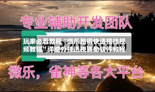玩家必看教程“微乐跑得快透视挂视频教程”详细外挂透视辅助软件教程-第2张图片